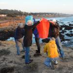 Cambria_0298 (November 02, 2013)
